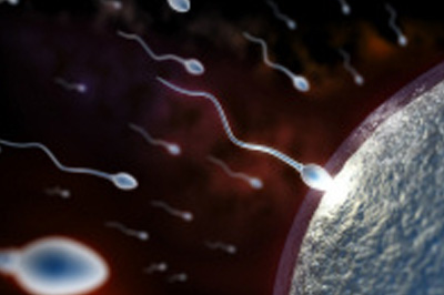 Infertility Pregnancy
